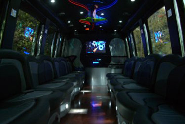 28 Passenger Limousine Bus