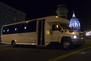 28 Passenger Limousine Bus