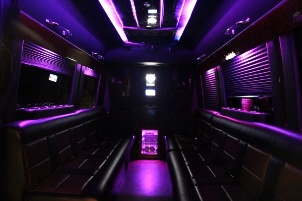 15 Passenger Limo Bus